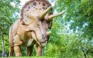 Lee más sobre el artículo Triceratops: Explicación para niños