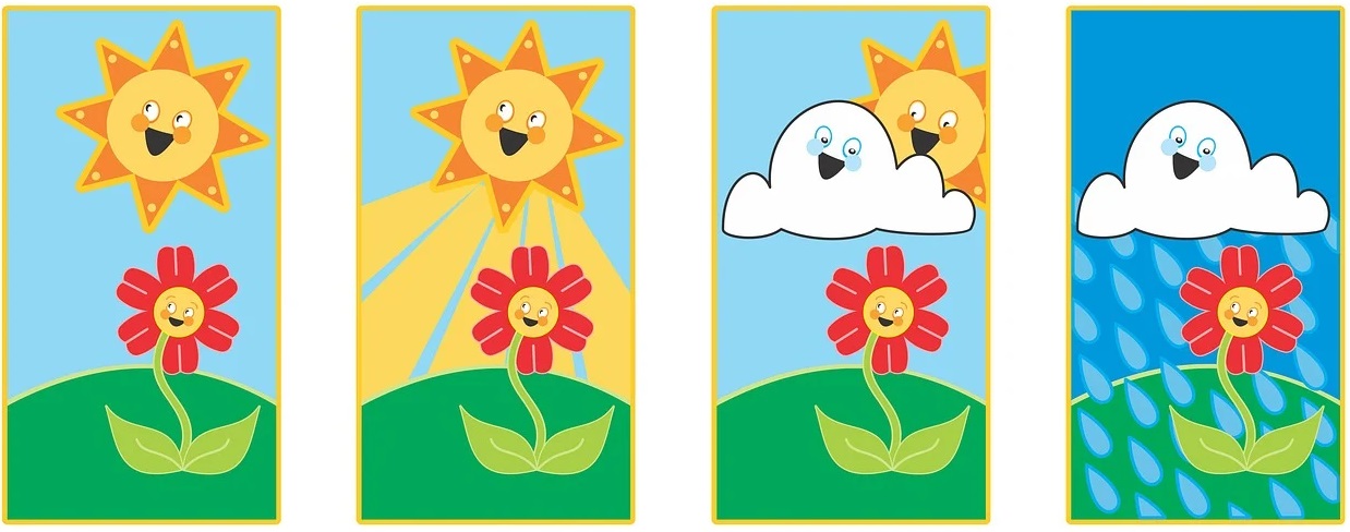 La fotosíntesis: Explicación para niños - ¡A aprender!