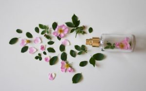 Lee más sobre el artículo El perfume: Explicación para niños