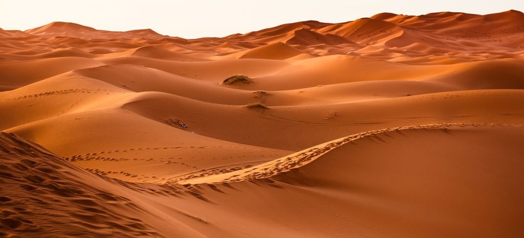 Un Viaje Por El Desierto