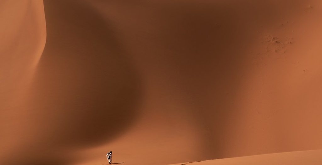 Viaje Por El Desierto