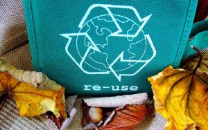 Lee más sobre el artículo El reciclaje de plásticos: Explicación para niños