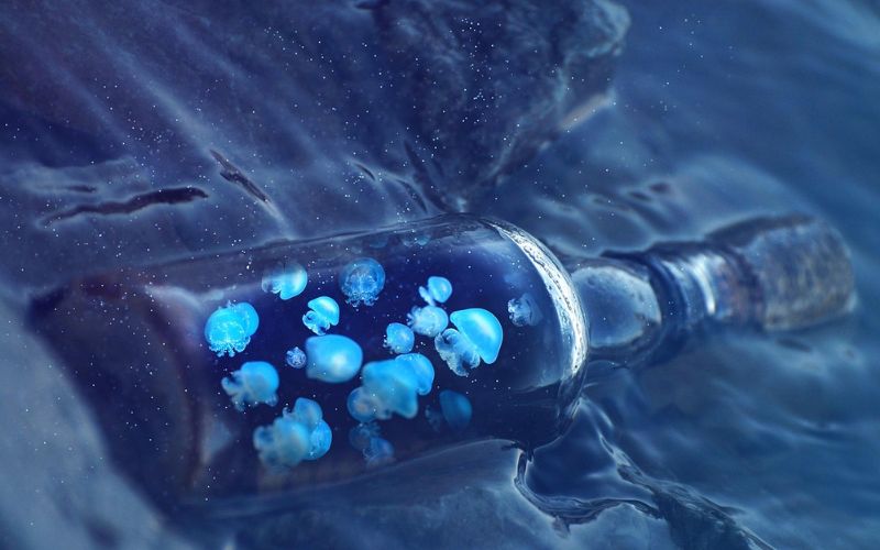 La Bioluminiscencia Explicación Para Niños