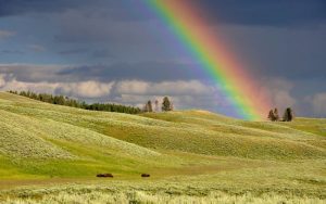 Lee más sobre el artículo ¿Por qué se forman los arcoíris?: Explicación para niños