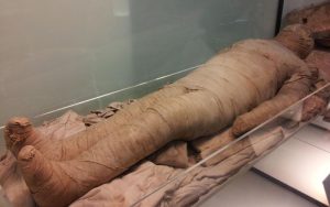 Lee más sobre el artículo Las momias: Explicación para niños