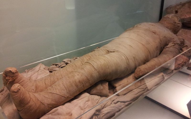 Las Momias Explicación Para Niños