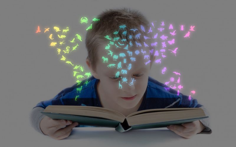 Libros Animales Para Niños, Una Forma De Aprender Sobre Animales