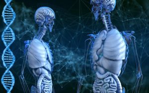 Lee más sobre el artículo ¿Qué es la clonación?: Explicación para niños