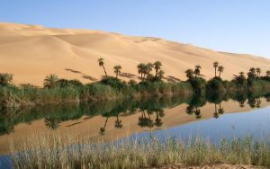 Lee más sobre el artículo ¿Qué son los espejismos en el desierto?: Explicación para niños